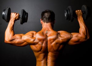 Bodybuilding training for men and women